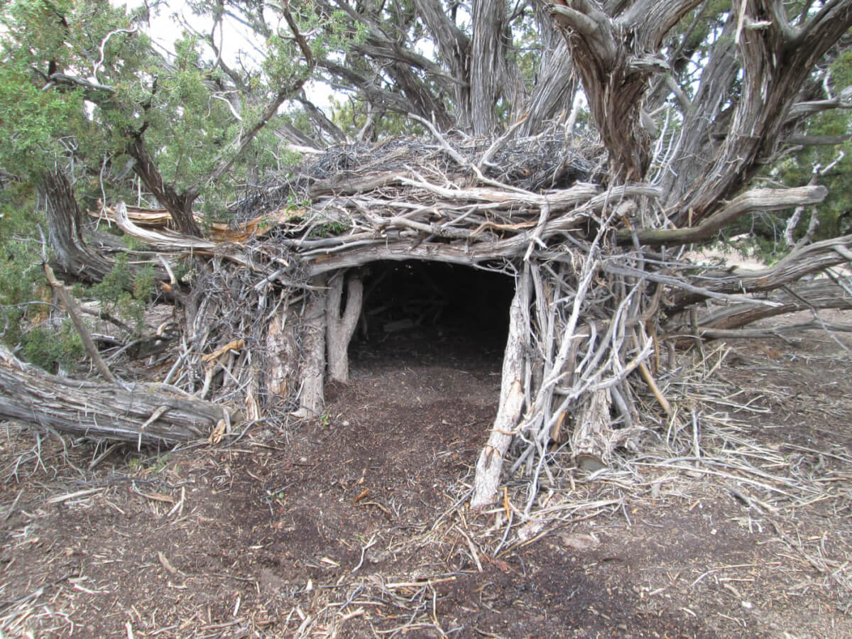 Here S How To Build A DIY Survival Shelter All By Yourself