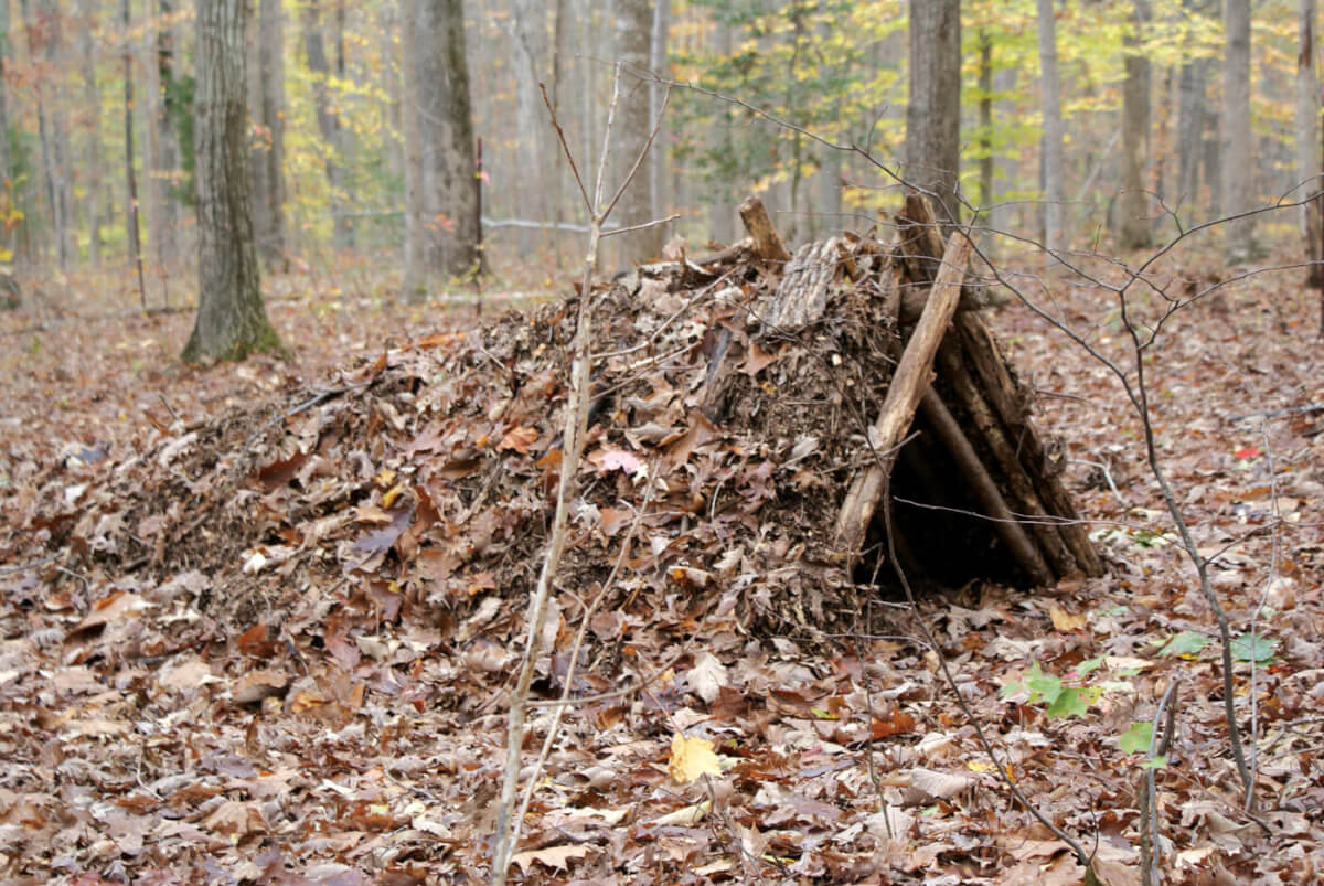 Rough-hewn Refuge: Constructing A Survival Shelter - American Outdoor Guide